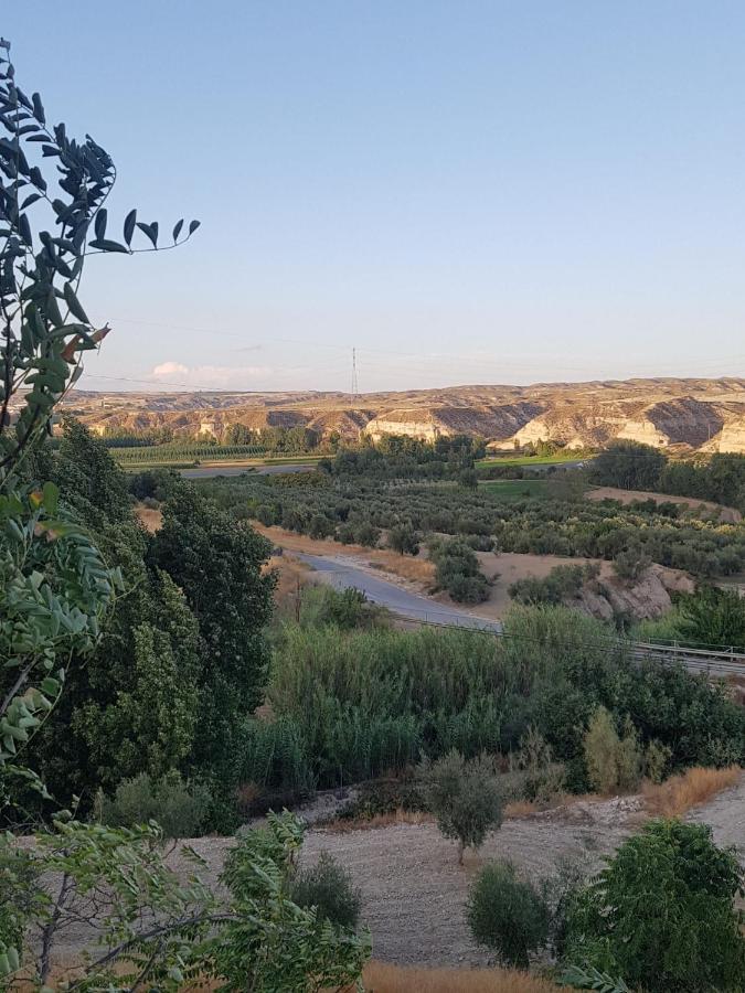 Cueva Maite Daire Cortes de Baza Dış mekan fotoğraf